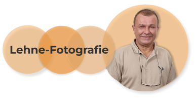 Lehne-Fotografie
